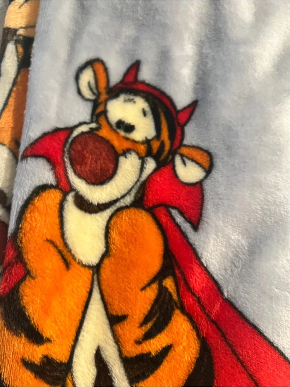 Disney Halloween Winnie the Pooh and Tigger  throw blanket 50x70